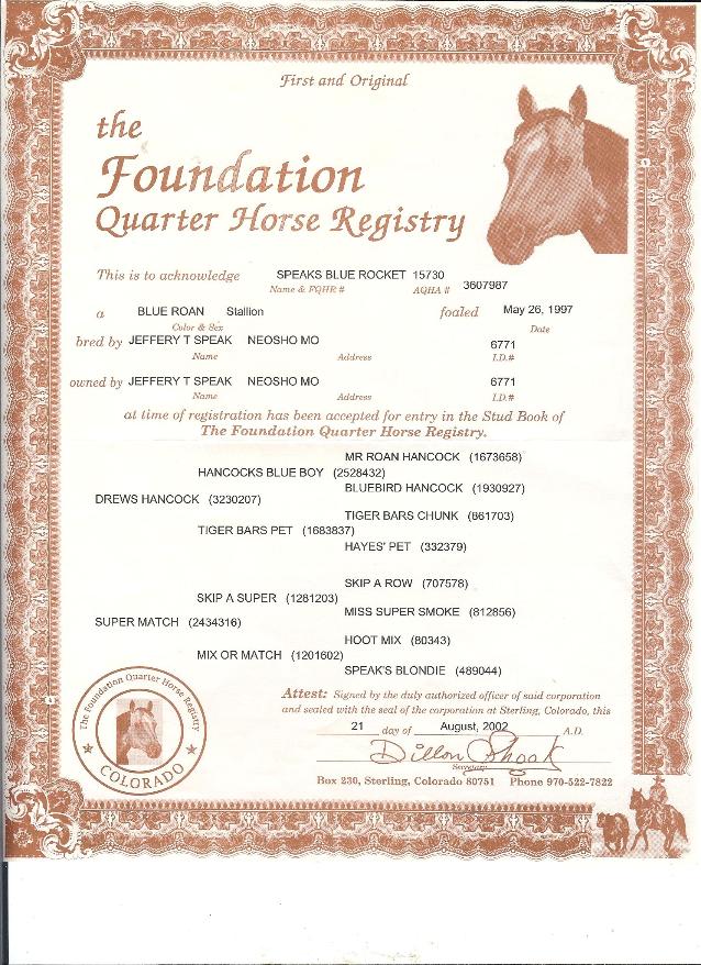 The Foundation Quarter Horse Registery 2002